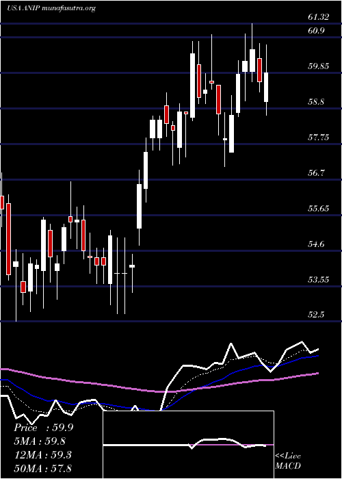  Daily chart AniPharmaceuticals