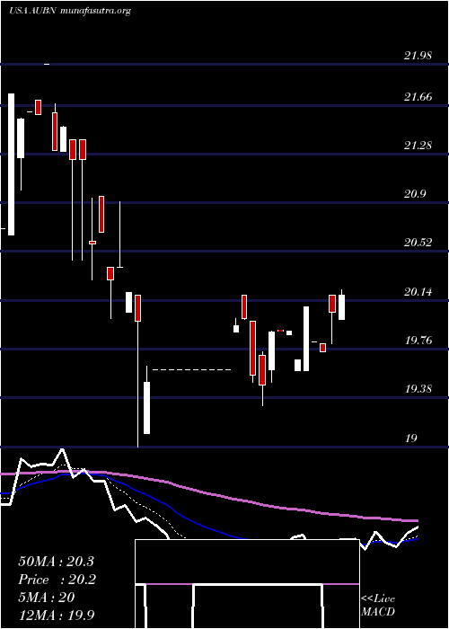  Daily chart AuburnNational