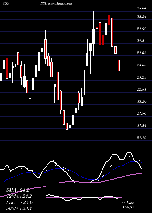  Daily chart BrookfieldBusiness