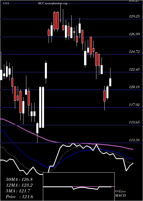  Daily chart BoiseCascade