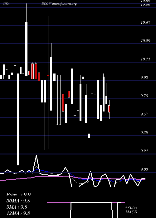  Daily chart 1895Bancorp