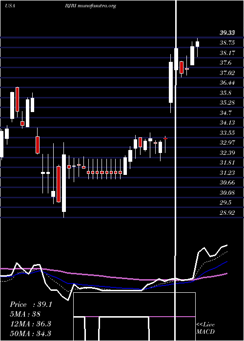  Daily chart BjS