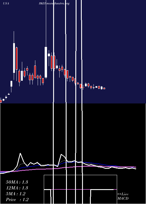  Daily chart BioKey