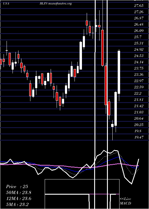  Daily chart BiolifeSolutions