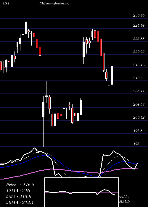  Daily chart BadgerMeter