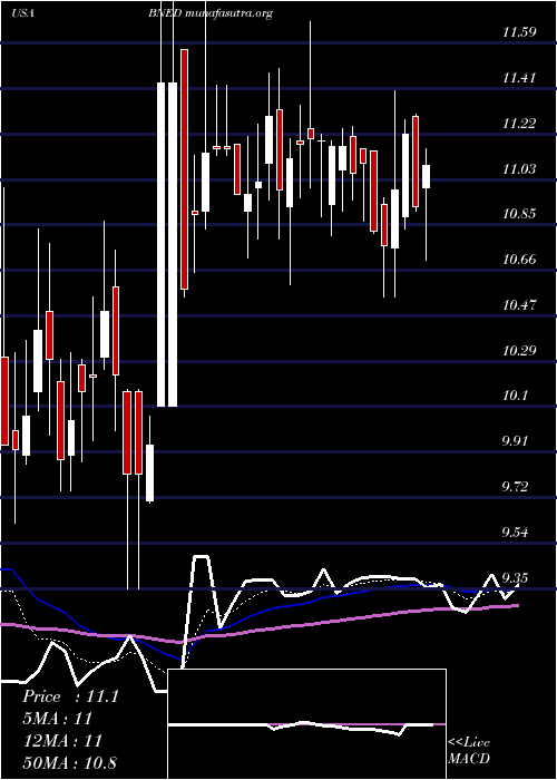  Daily chart BarnesNoble