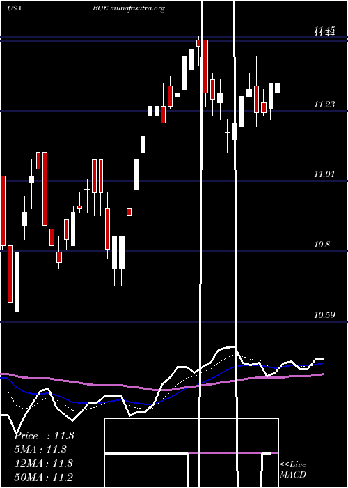  Daily chart BlackrockGlobal