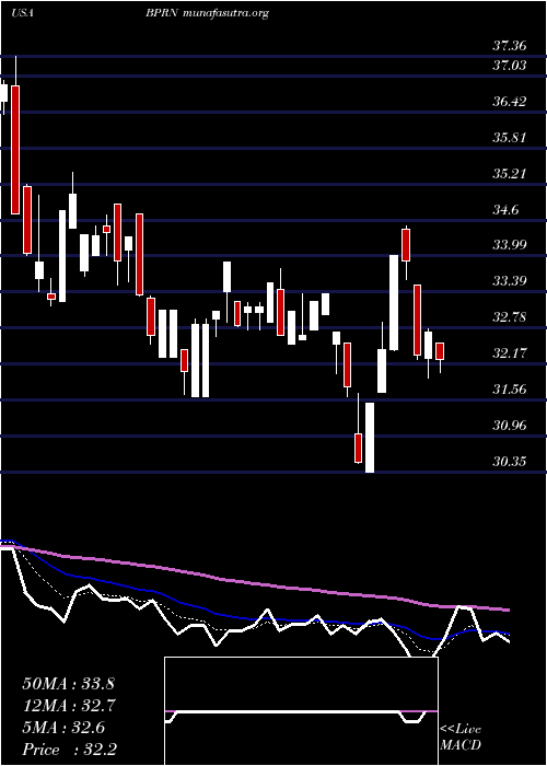  Daily chart BankPrinceton