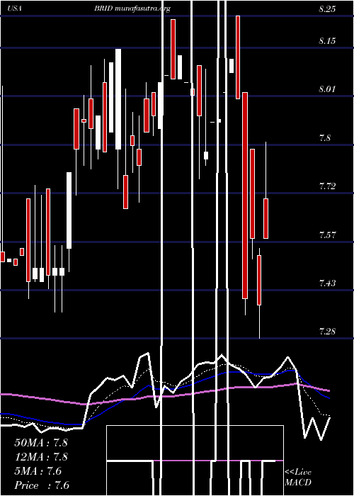  Daily chart BridgfordFoods