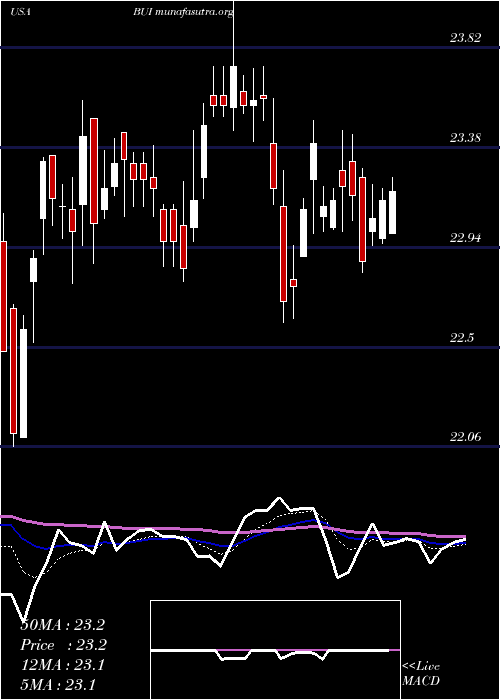  Daily chart BlackrockUtility