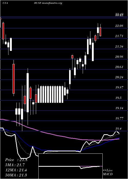  Daily chart FirstBusey
