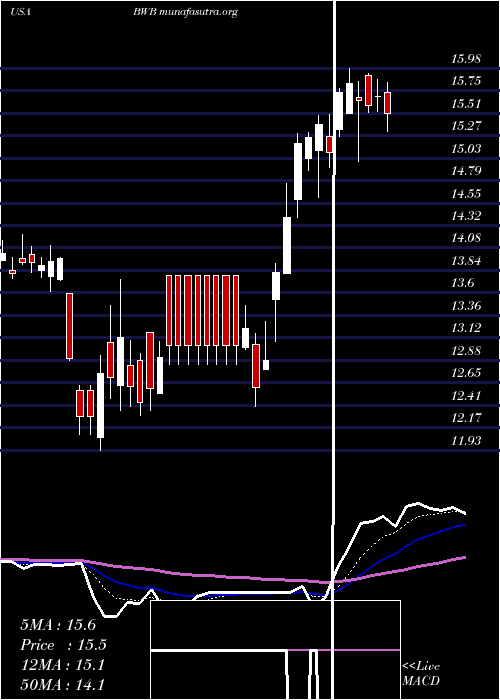  Daily chart BridgewaterBancshares