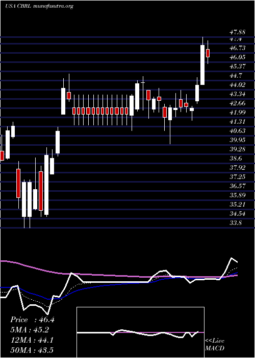  Daily chart CrackerBarrel