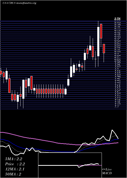  Daily chart CibusCorp
