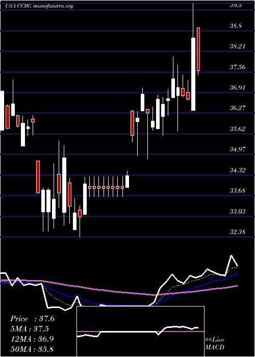  Daily chart CapitalCity