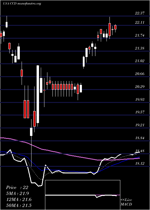  Daily chart CalamosDynamic