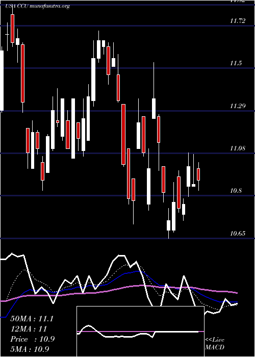  Daily chart CompaniaCervecerias