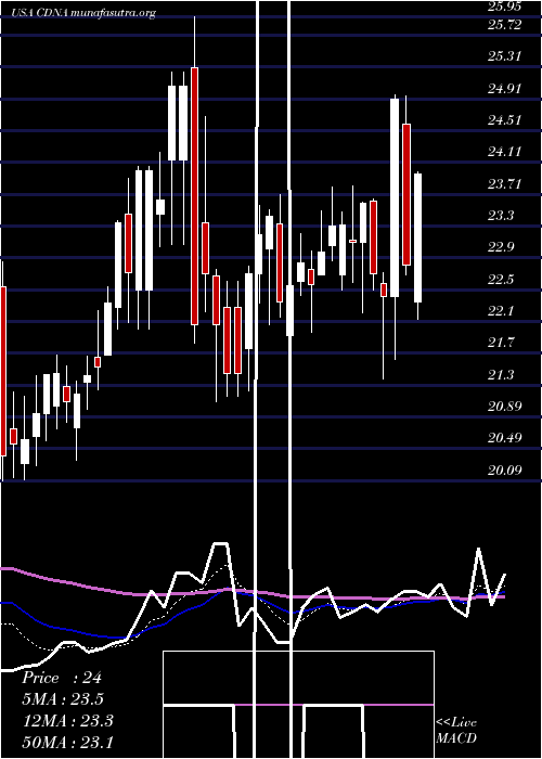  Daily chart CaredxInc