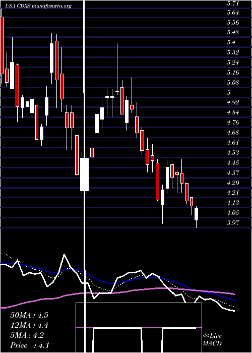  Daily chart CodexisInc