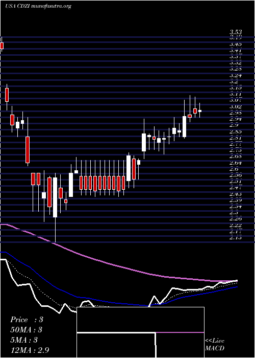  Daily chart CadizInc