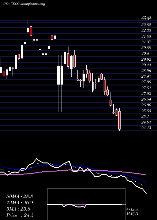  Daily chart CareerEducation