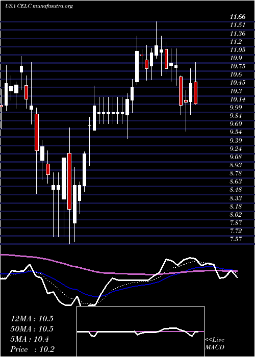  Daily chart CelcuityInc