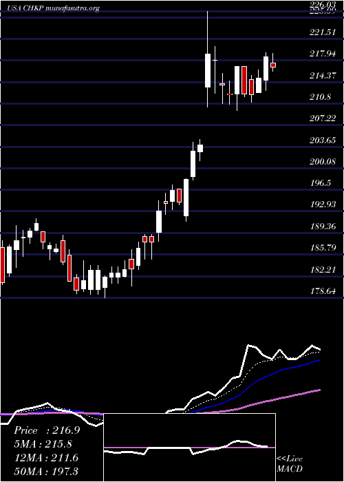  Daily chart CheckPoint