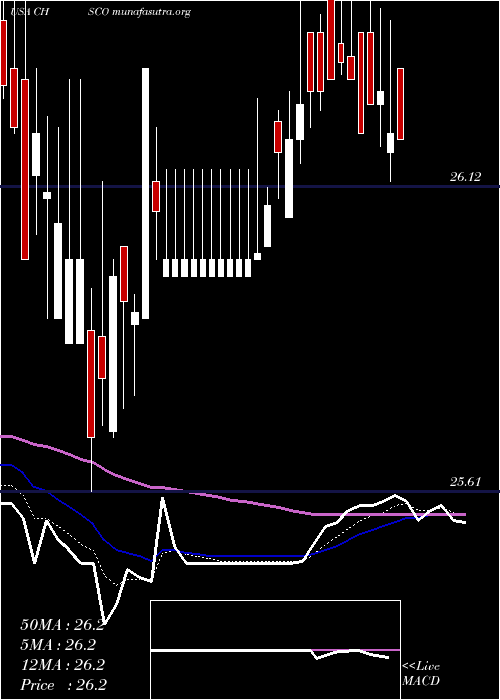  Daily chart ChsInc