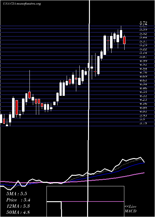  Daily chart CitizensInc