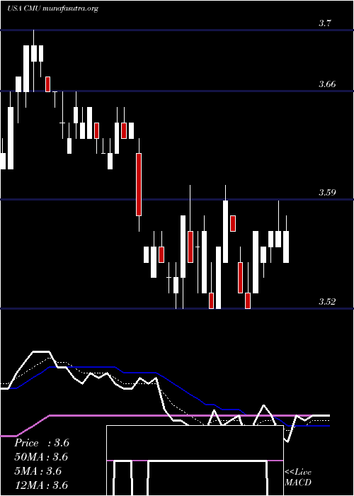  Daily chart ColonialMunicipal