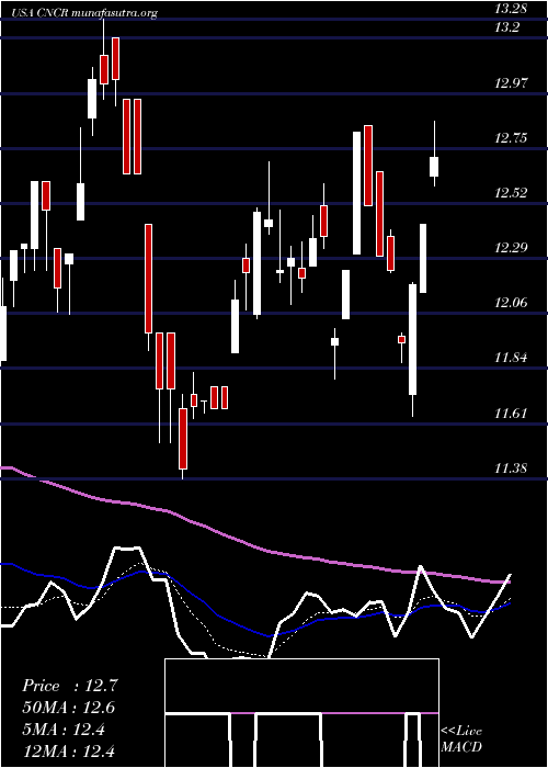  Daily chart LoncarCancer