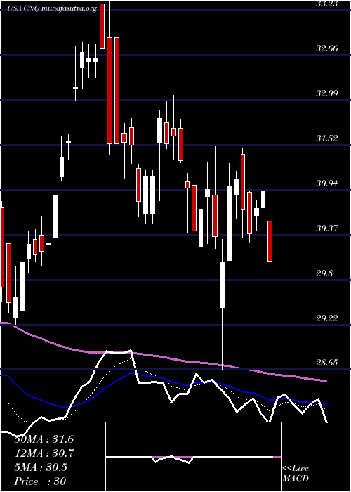  Daily chart CanadianNatural