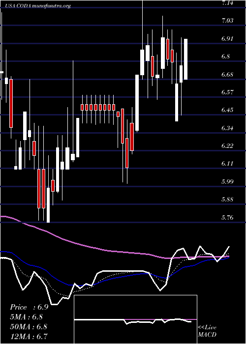  Daily chart CodaOctopus