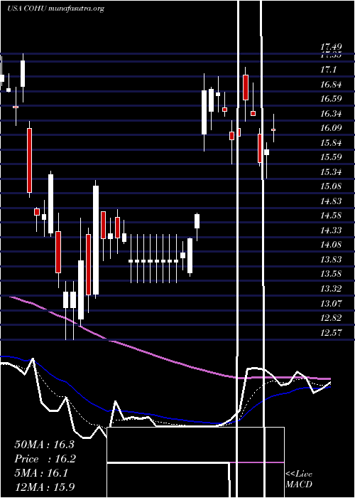  Daily chart CohuInc