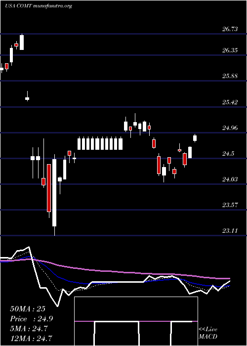  Daily chart IsharesCommodities