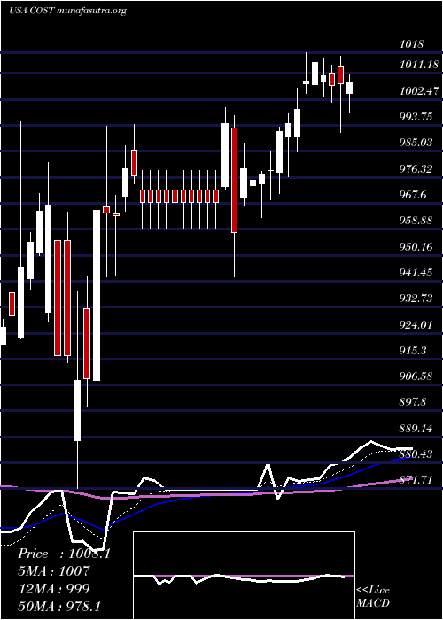  Daily chart CostcoWholesale