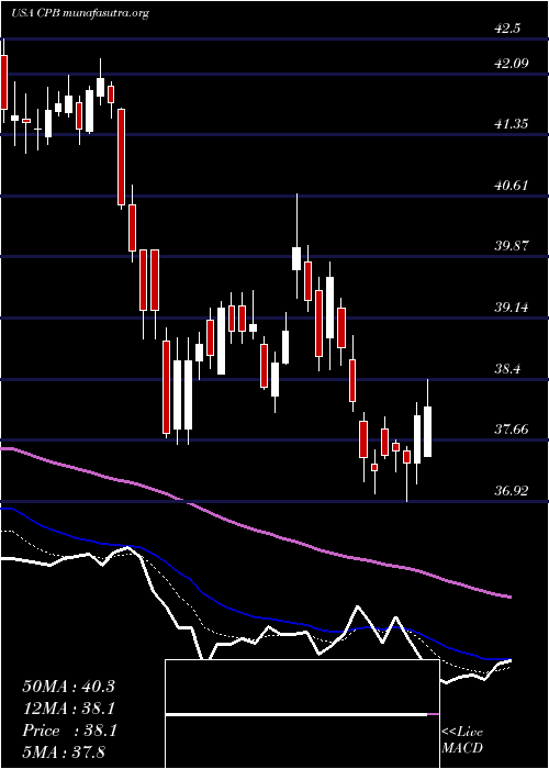  Daily chart CampbellSoup