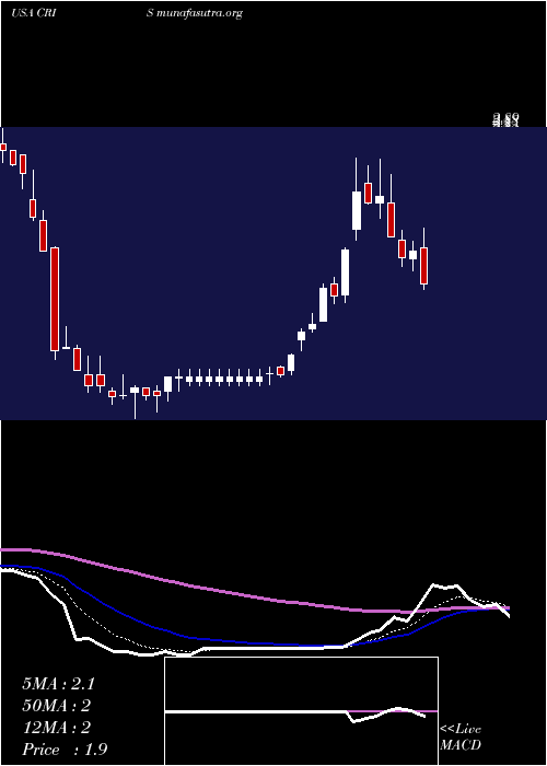  Daily chart CurisInc