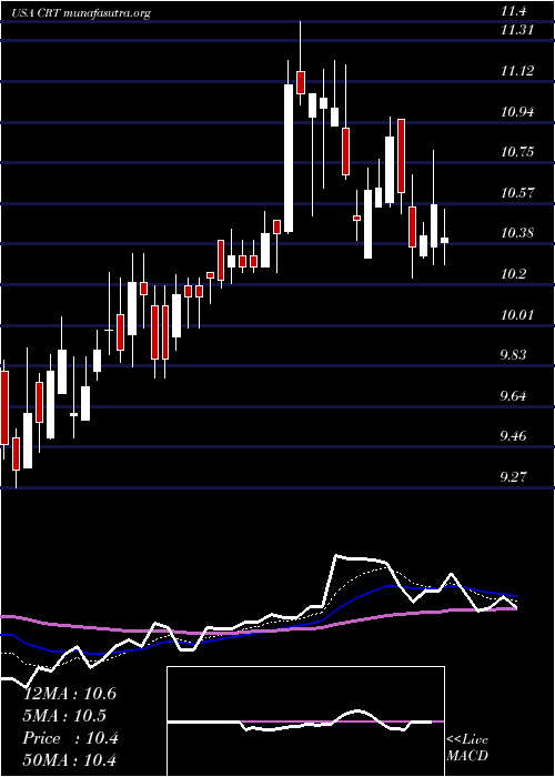  Daily chart CrossTimbers