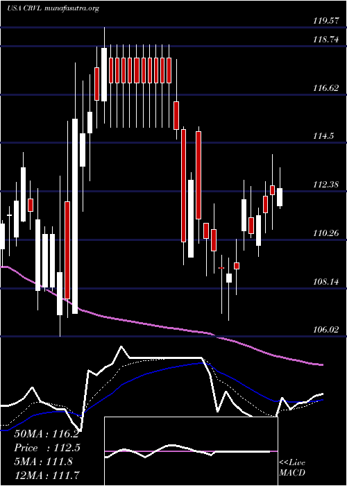  Daily chart CorvelCorp