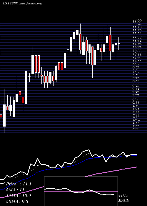  Daily chart ChampionsOncology