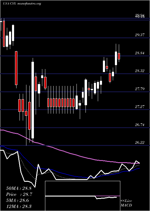  Daily chart CsxCorporation