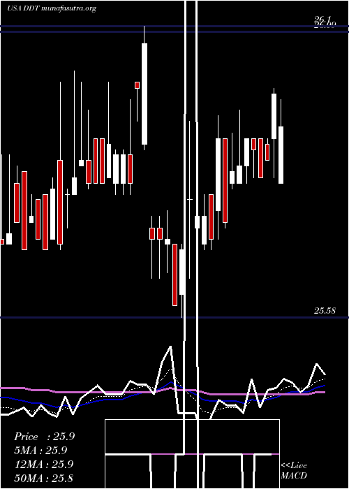  Daily chart DillardS