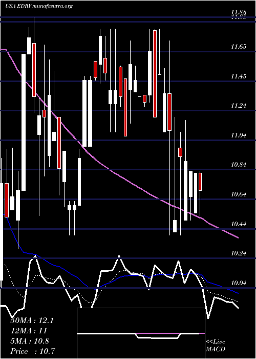  Daily chart Eurodry