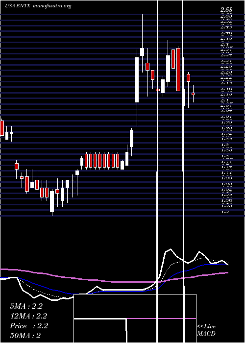  Daily chart EnteraBio