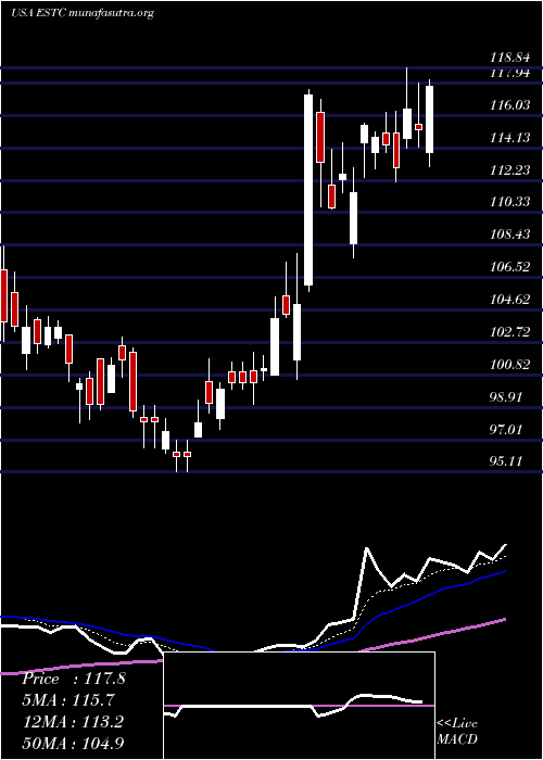  Daily chart ElasticN