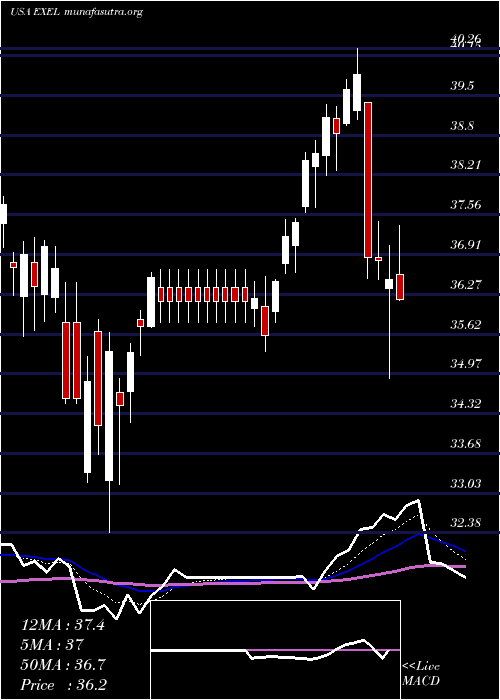 Daily chart ExelixisInc