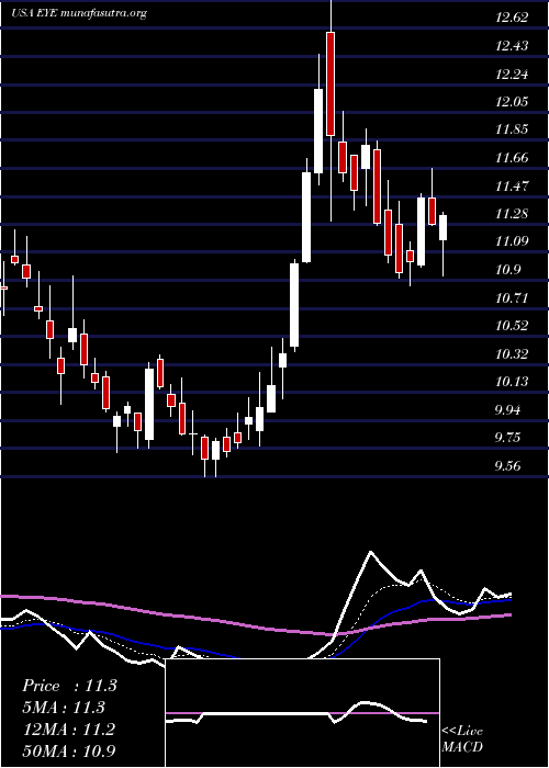  Daily chart NationalVision