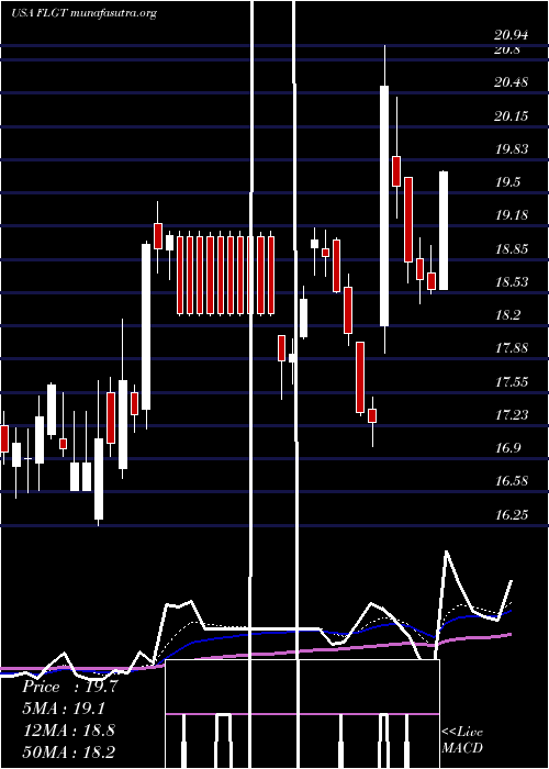 Daily chart FulgentGenetics