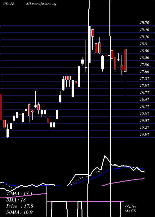  Daily chart PapaMurphy